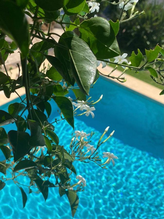 Beautiful With Pool, Barbecue, And Garden Villa